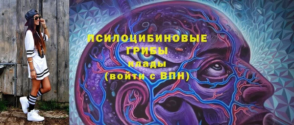 эйфоретик Вязники