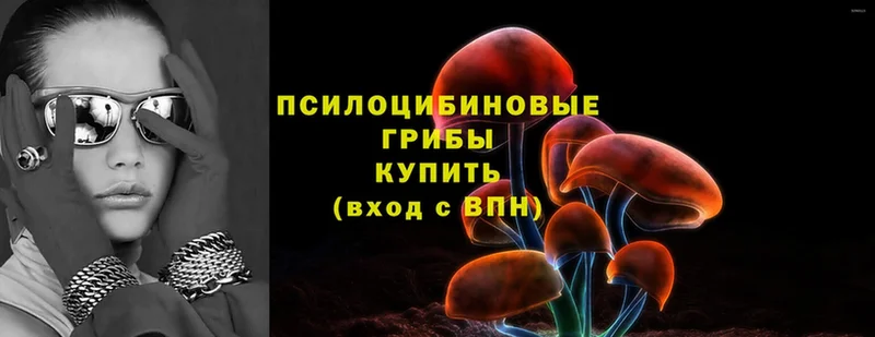 купить закладку  Кстово  Псилоцибиновые грибы Cubensis 